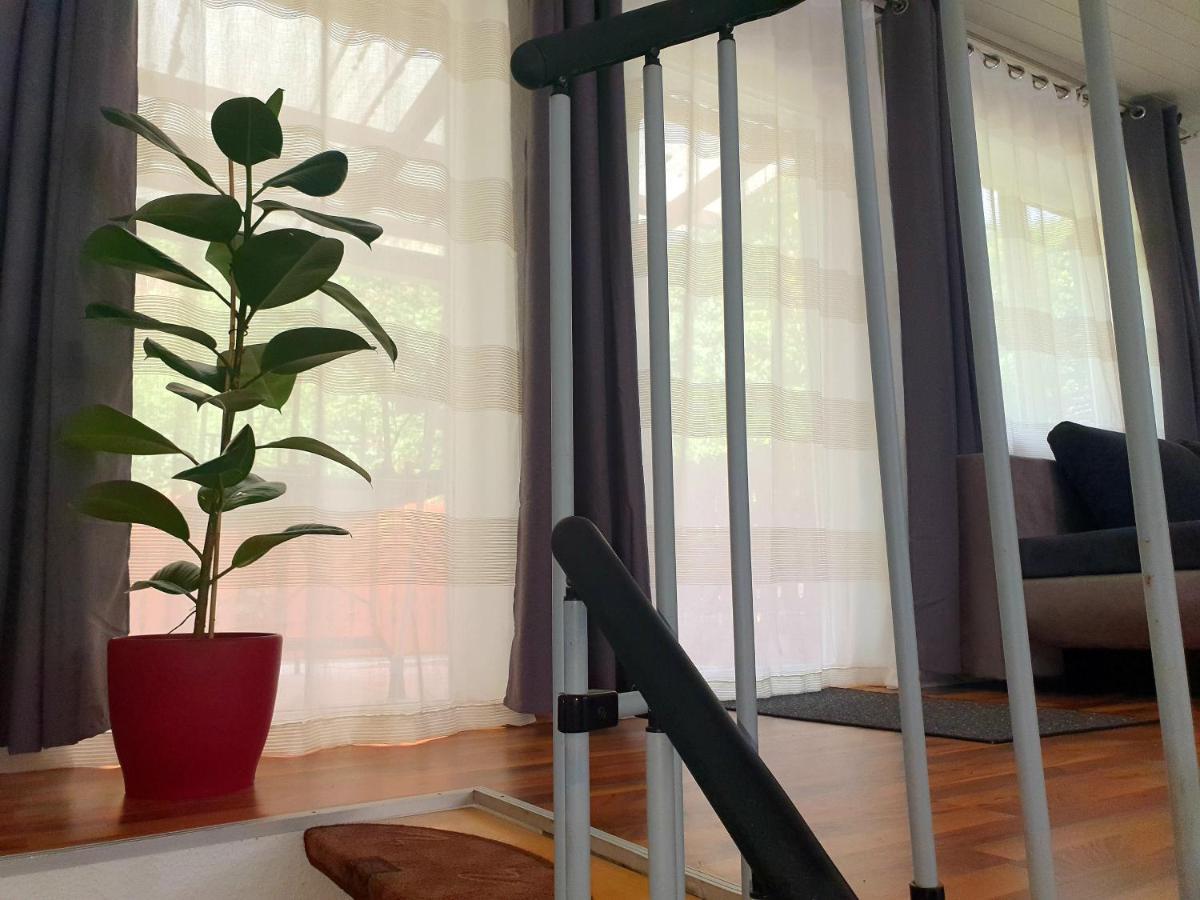 Haus Damian Apartment Traben-Trarbach Luaran gambar